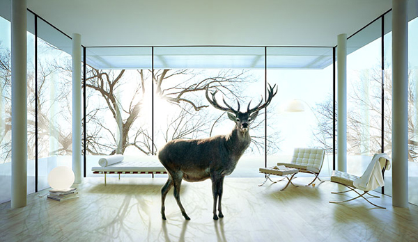 andy-glass-7