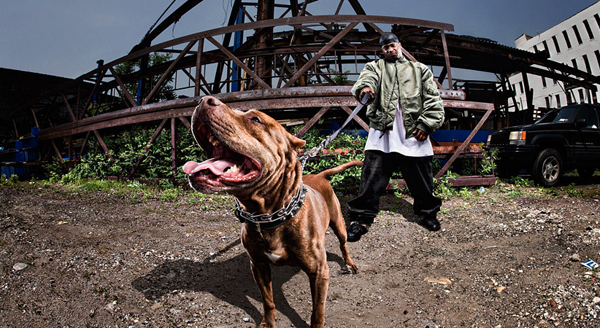 dave-hill-7