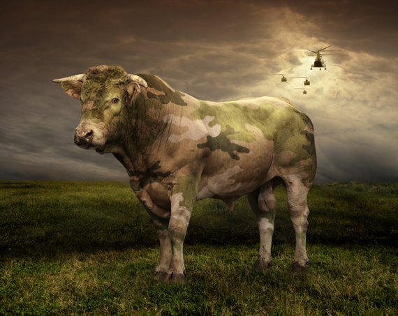 lsd-photography-10 lsd-photography-10