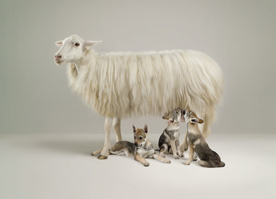 lsd-photography-5 lsd-photography-5