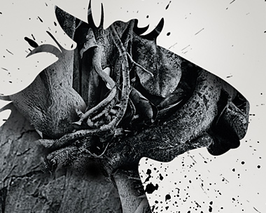 Freelance Graphic Designer, Patrick Monkel, featured on Creative Tempest
