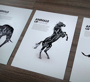 Freelance Graphic Designer, Patrick Monkel, featured on Creative Tempest